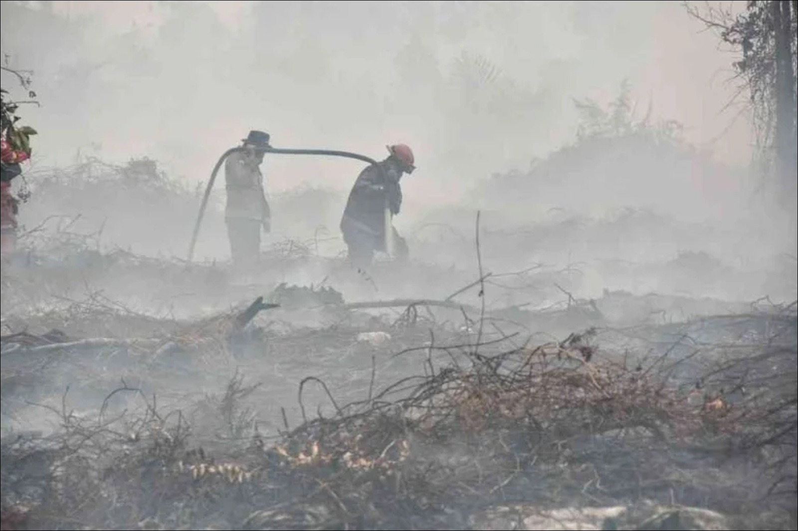 Haze: Do Not Stop at Apologies - Infolitik