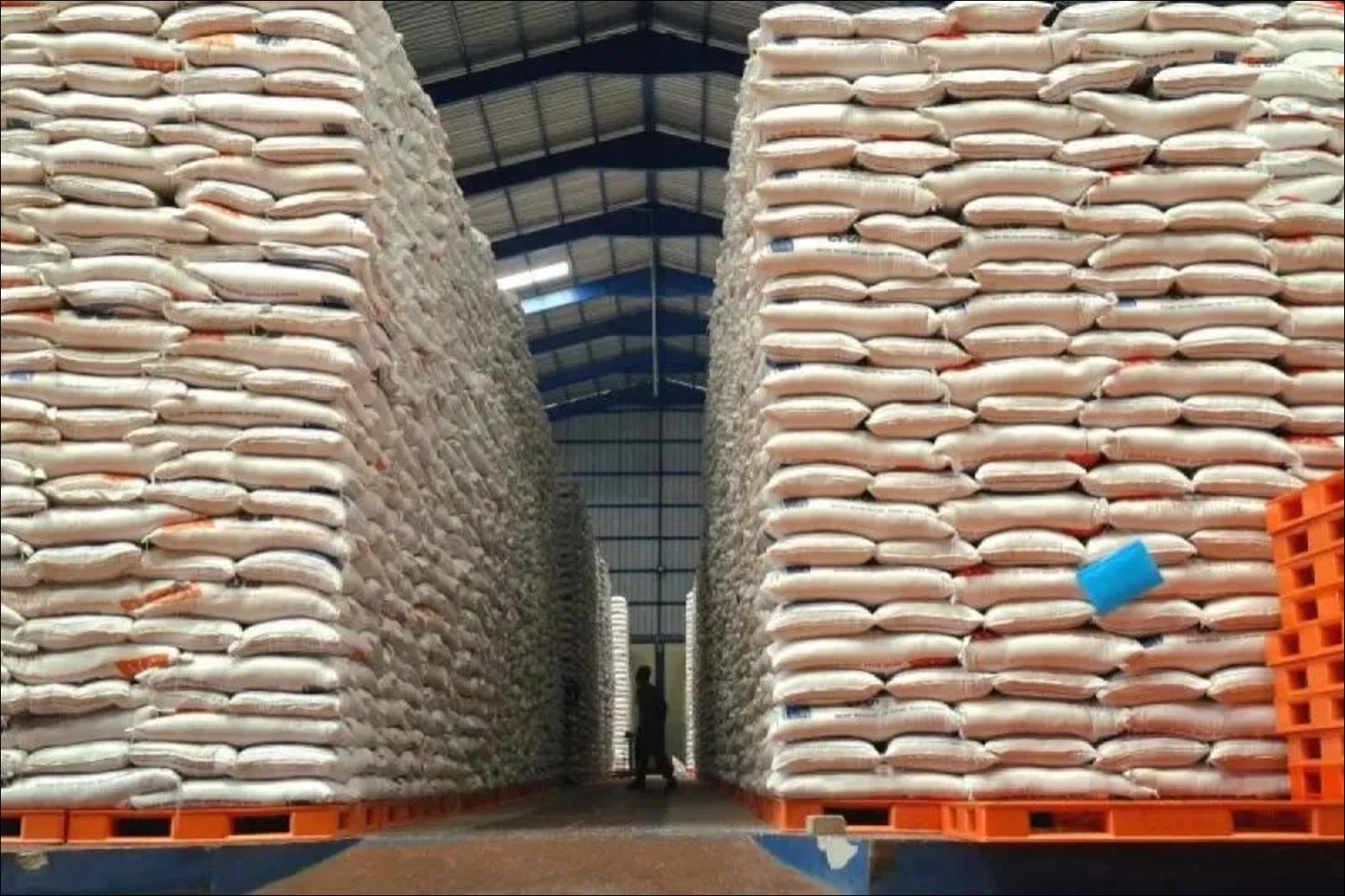 Cadangan Beras Ri Melonjak Jadi 4,2 Juta Ton, Ini 5 Kebijakan Yang Jadi Pendorongnya - Infolitik