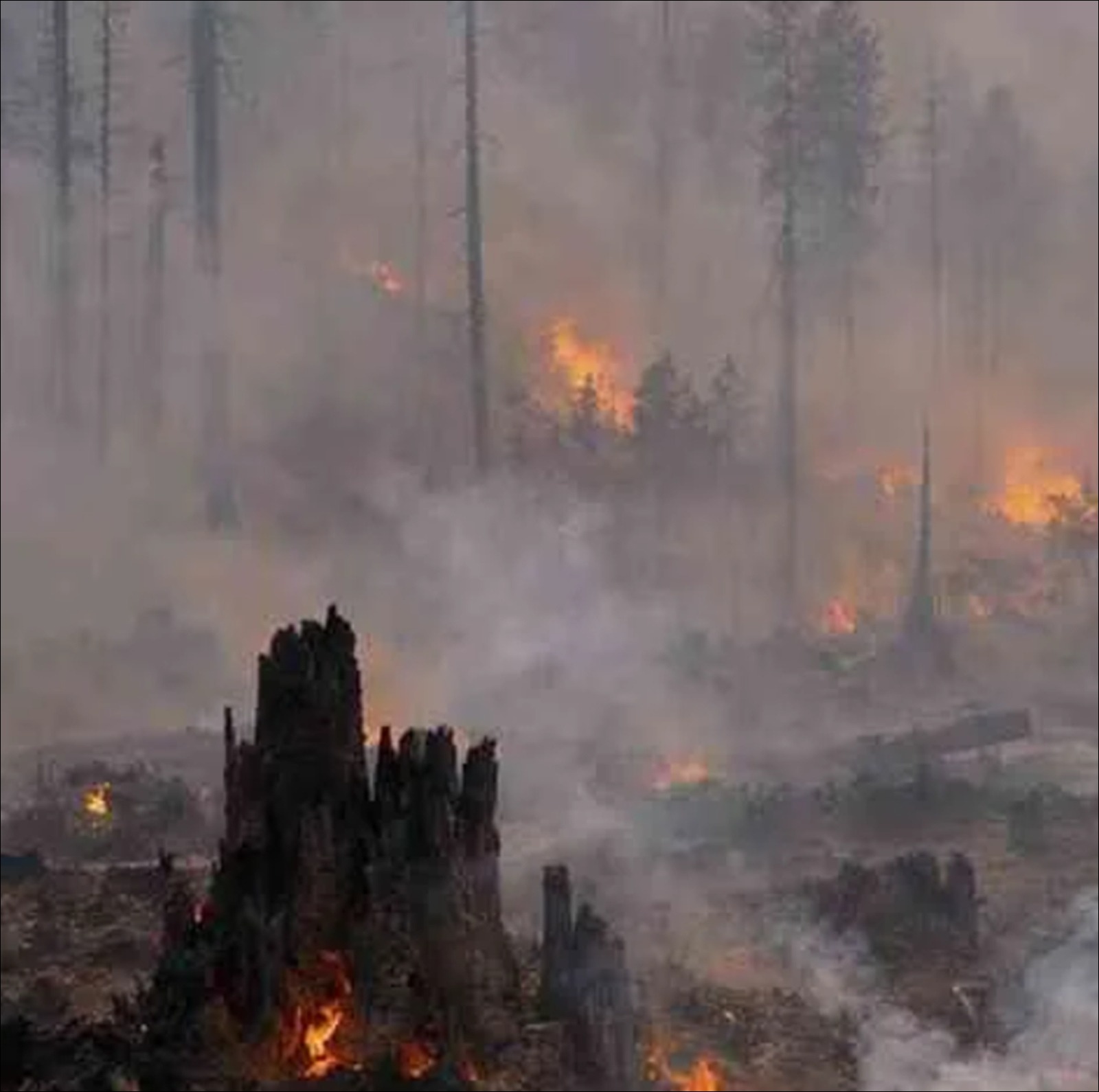 Southeast Asias Transboundary Haze: Sovereignty and Responsibility - Infolitik