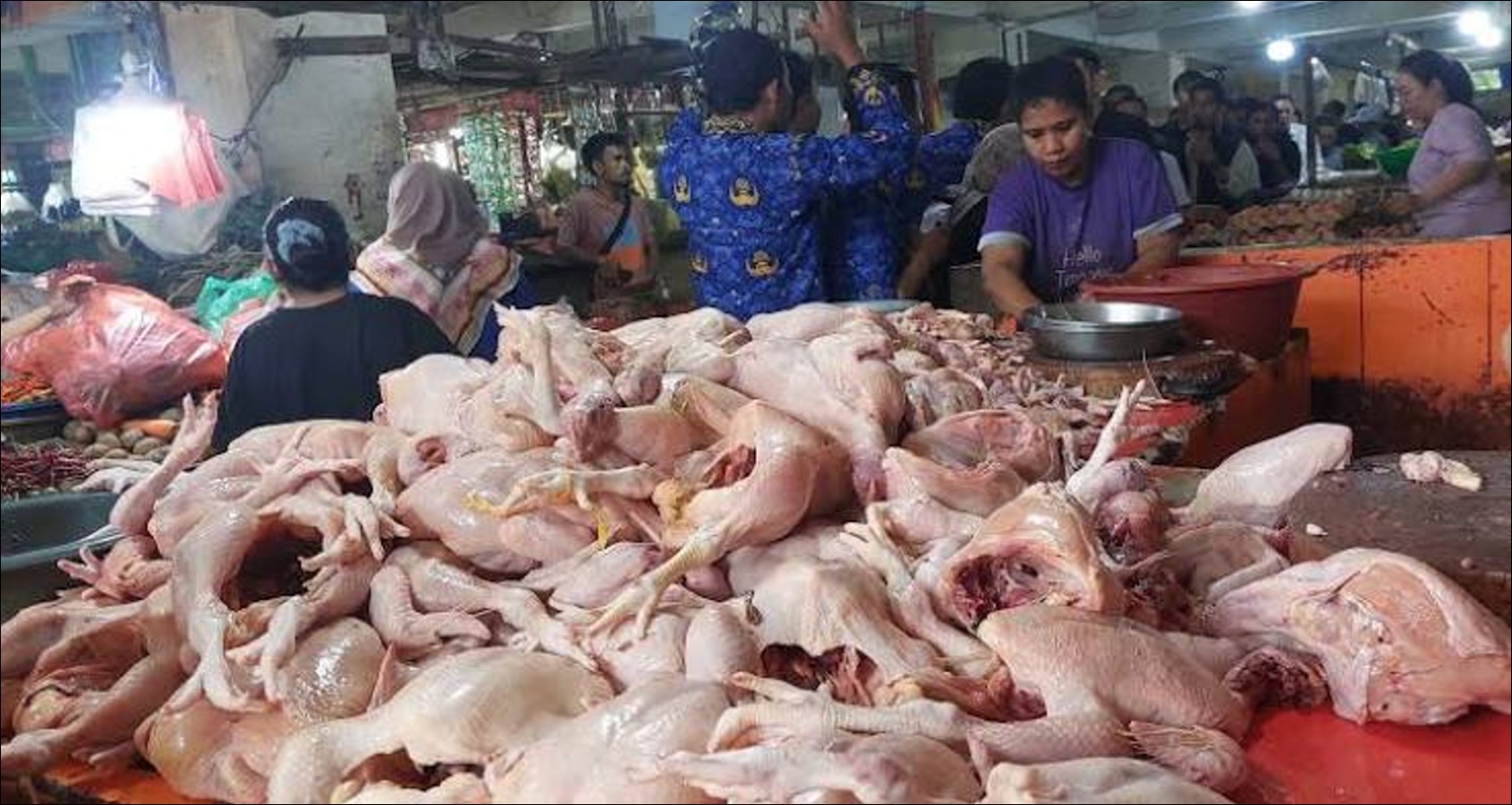 Redam Inflasi Ayam Akibat MBG, Bapanas Gelontorkan Subsidi - Infolitik